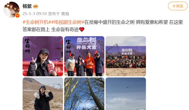杨紫李现二搭路透